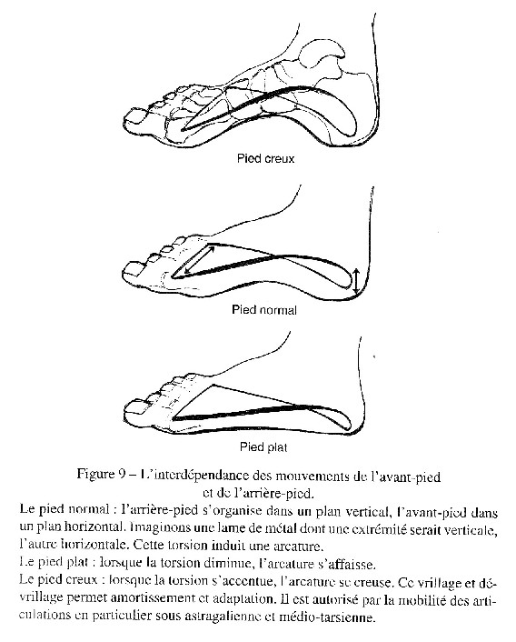 k-les-appuis-en-action.jpg (568Ã706)